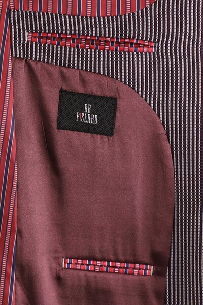 Regular Fit Ceket - Thumbnail